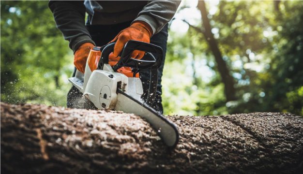 chain-saw-2.jpg